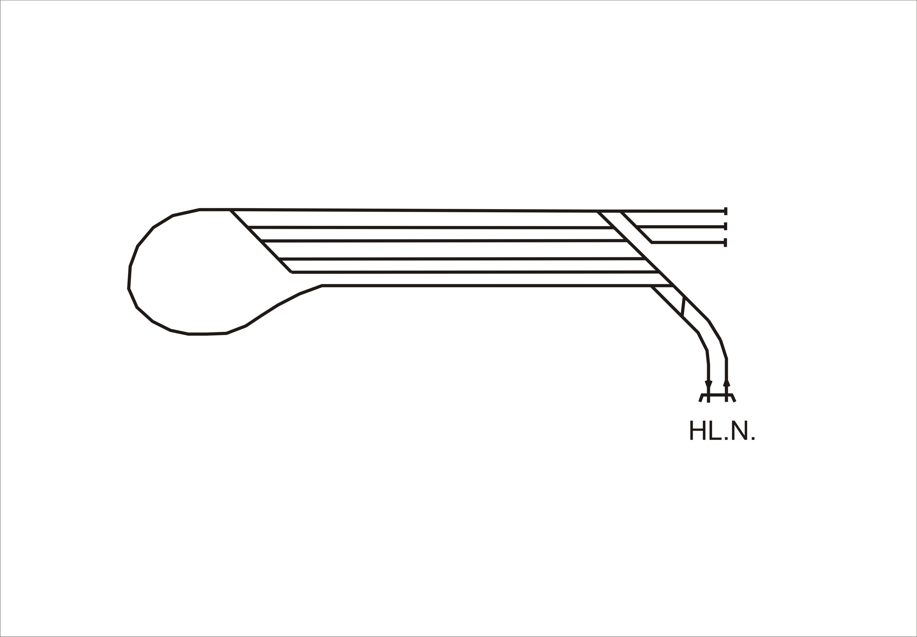 1.SN.jpg
